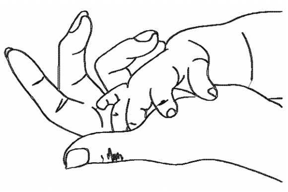 Hands: A Designer’s Real-World Embroidery Review